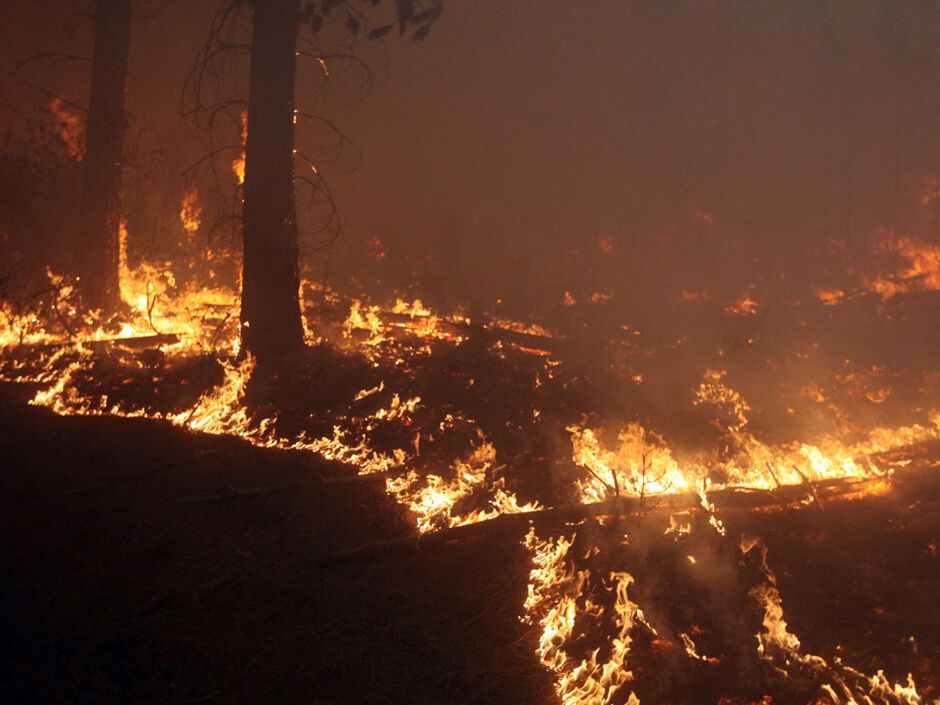 Сотні американців покинули свої будинки через пожежу