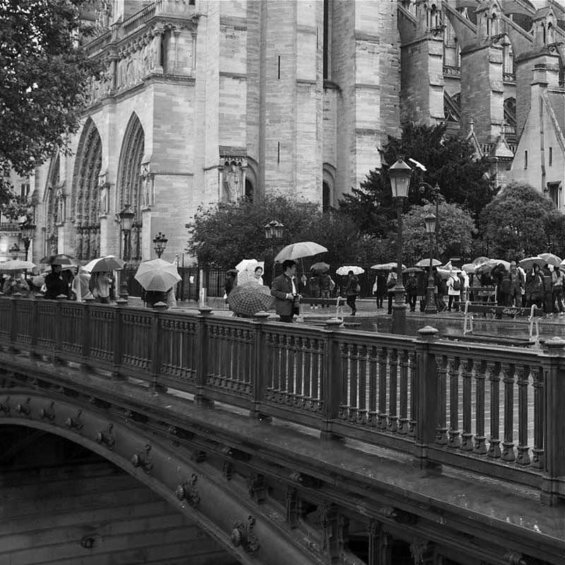Романтичні парасольки Парижа