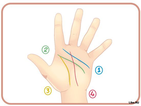 Как читать линии на руках