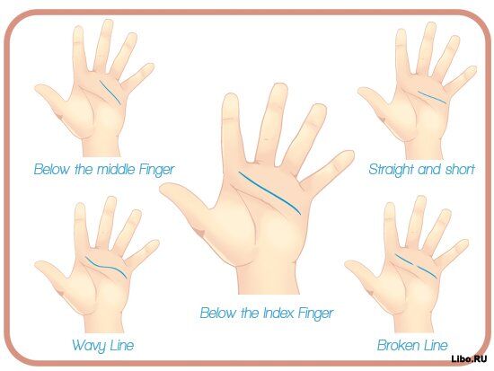 Как читать линии на руках