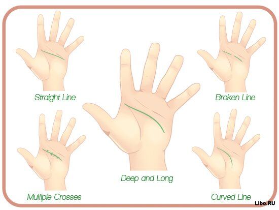 Как читать линии на руках
