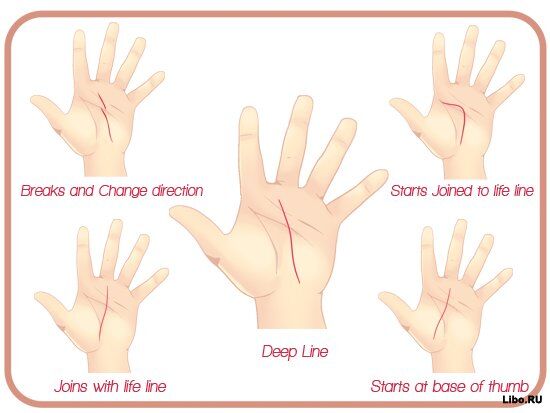 Как читать линии на руках