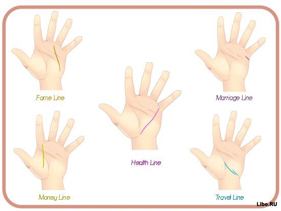 Как читать линии на руках