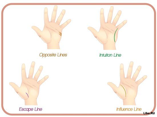 Как читать линии на руках