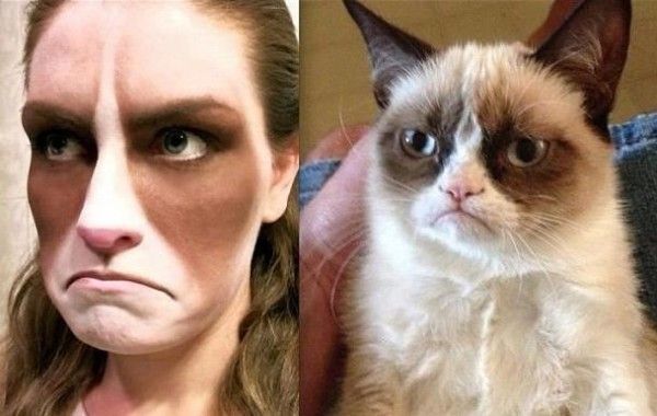 Grumpy Cat станет главным героем новой комедии