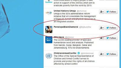 ООН подписалась на "твиттер" известной порнозвезды