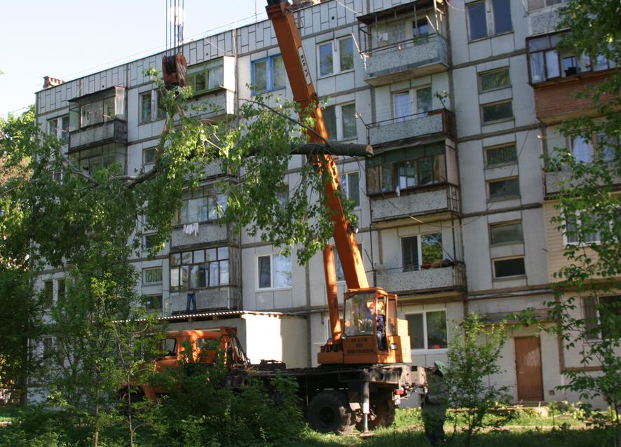 В Полтаве дерево упало на пятиэтажку