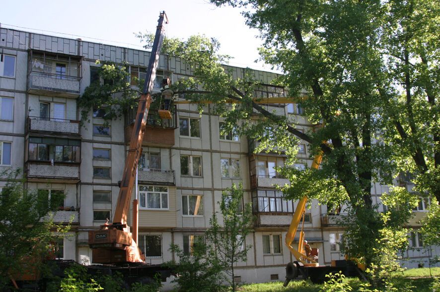 В Полтаве дерево упало на пятиэтажку