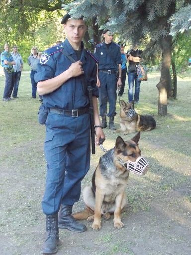 У Дніпропетровську між свободівцями і їх противниками сталася бійка