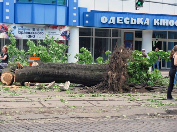 На борьбу с последствиями урагана в Одессе вышла милиция