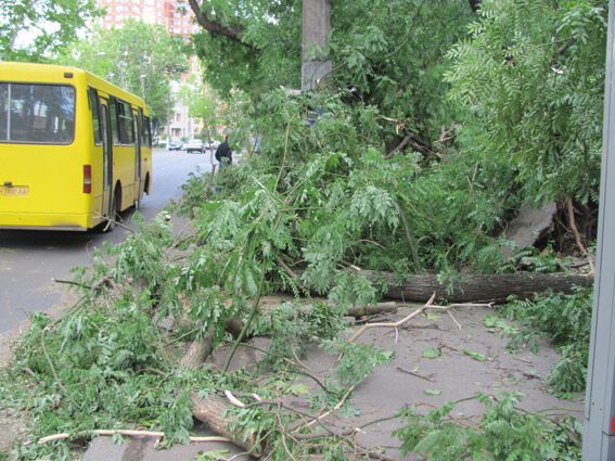 На борьбу с последствиями урагана в Одессе вышла милиция