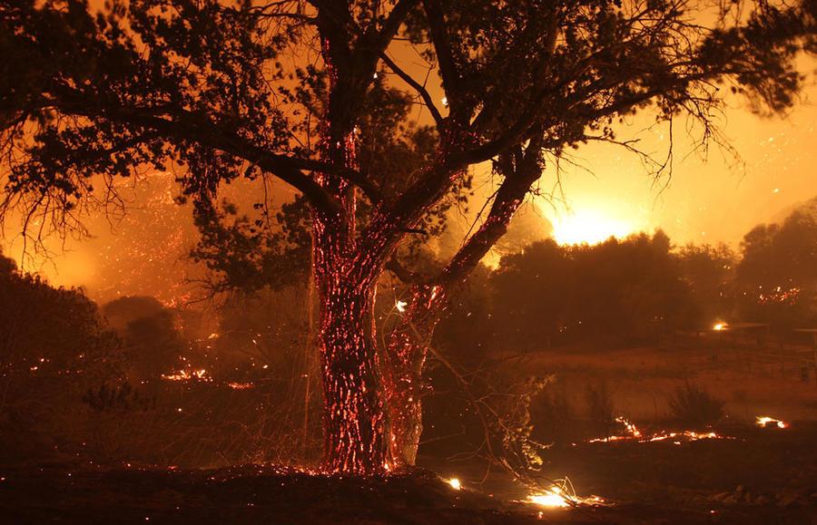 Лісові пожежі в Лос-Анджелесі