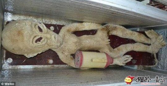 Китаец хранит в холодильнике мертвого инопланетянина
