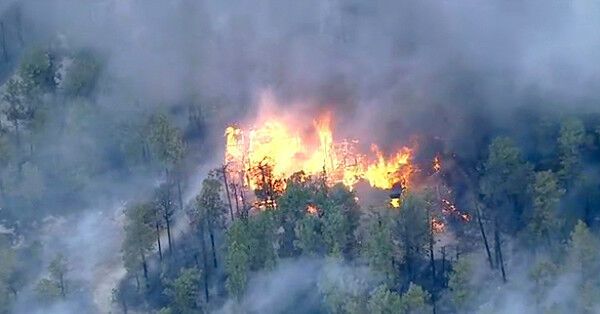 Более тысячи американцев эвакуированы из-за крупных лесных пожаров