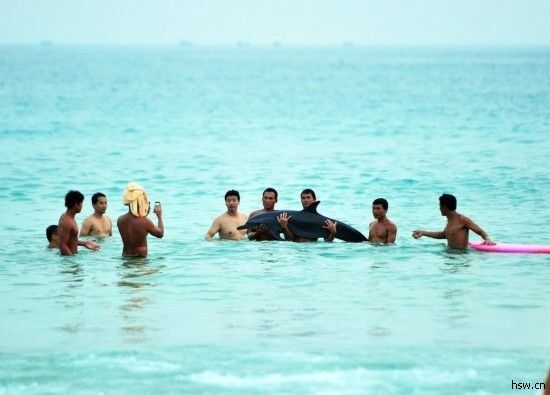 В Китае туристы устроили фотосессию с умирающим дельфином