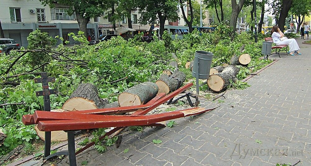 В Одесі прибирають місто після урагану і пиляють дерева