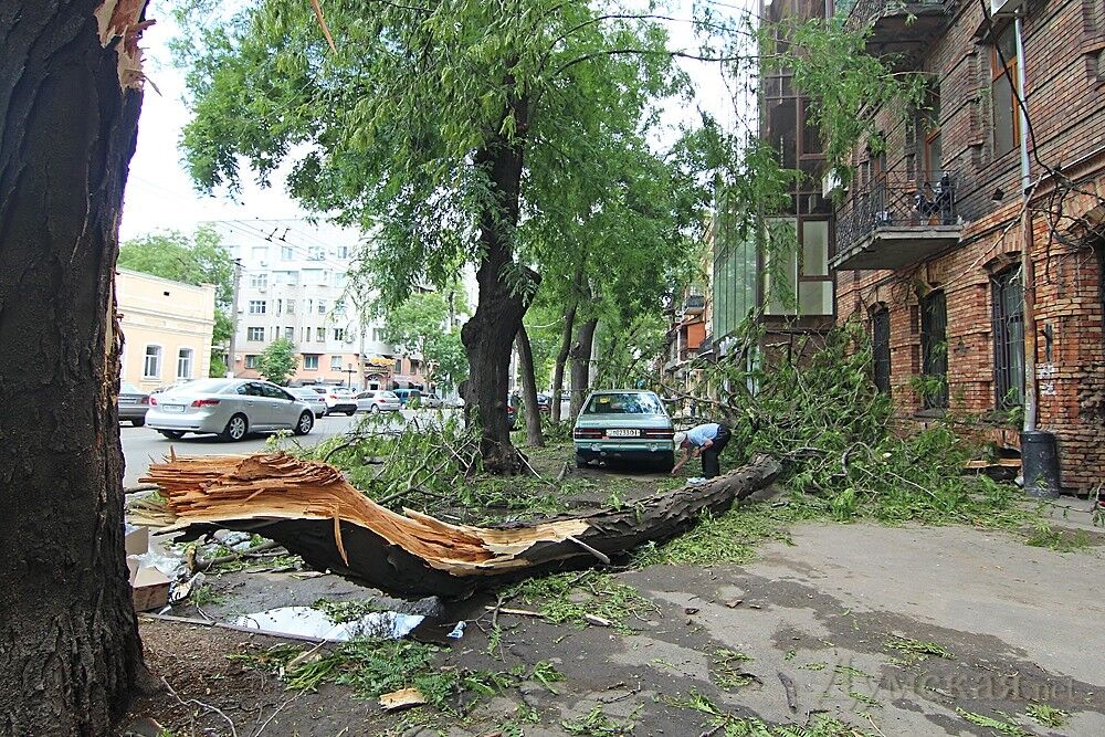 В Одессе убирают город после урагана и пилят деревья