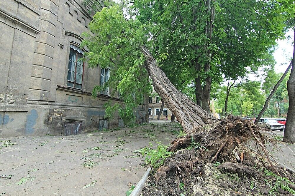 В Одессе убирают город после урагана и пилят деревья