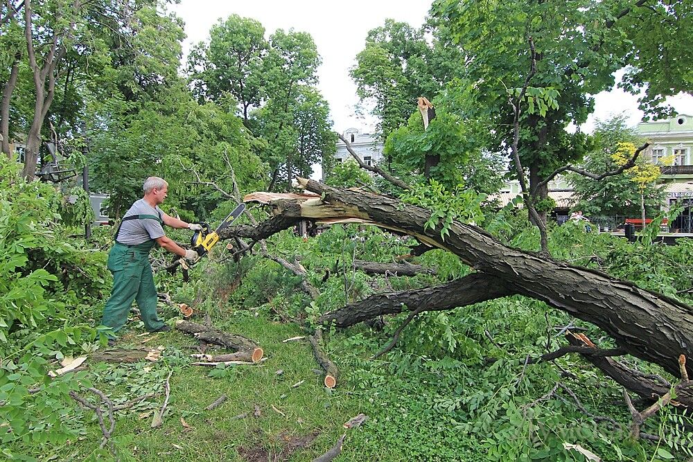 В Одессе убирают город после урагана и пилят деревья