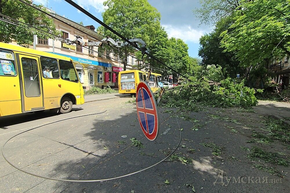 В Одессе убирают город после урагана и пилят деревья