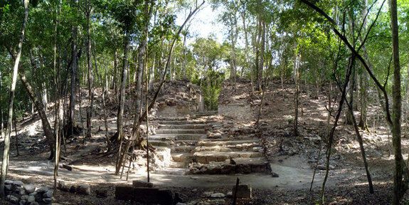 В Мексике найден неизвестный город майя и уникальные петроглифы