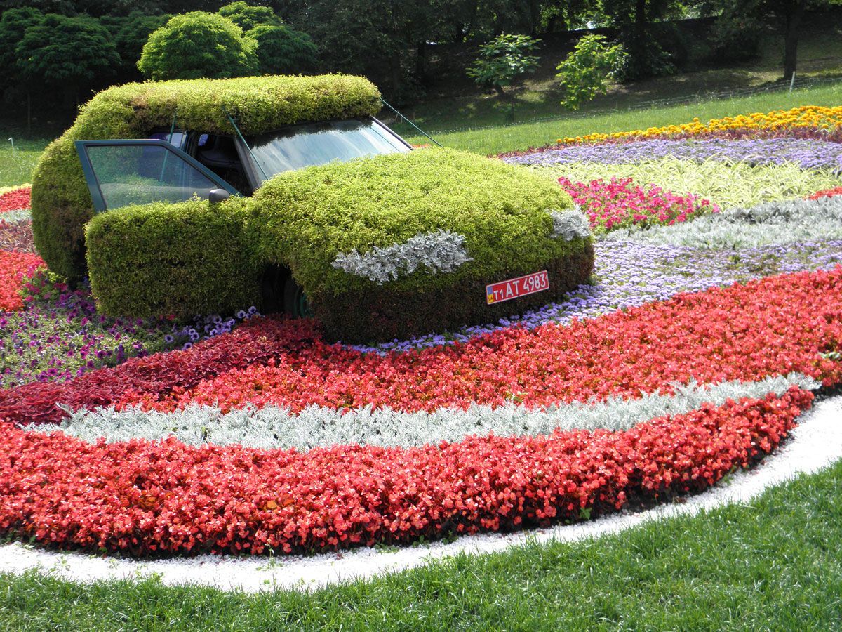 Шины, фары, петуния и бегония: выставка зеленых авто