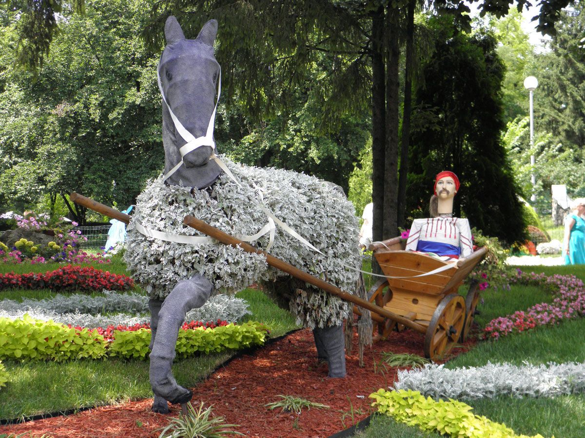 Шины, фары, петуния и бегония: выставка зеленых авто