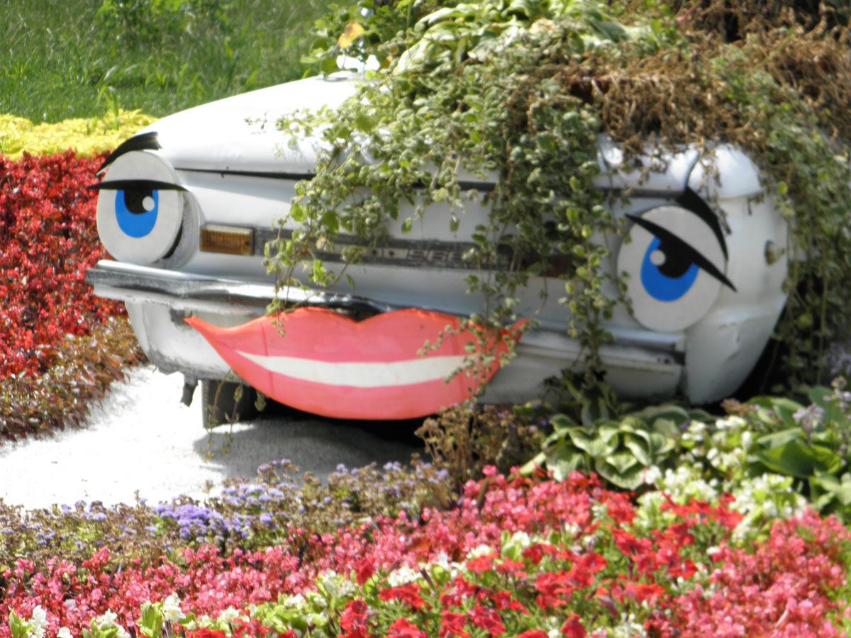 Шины, фары, петуния и бегония: выставка зеленых авто