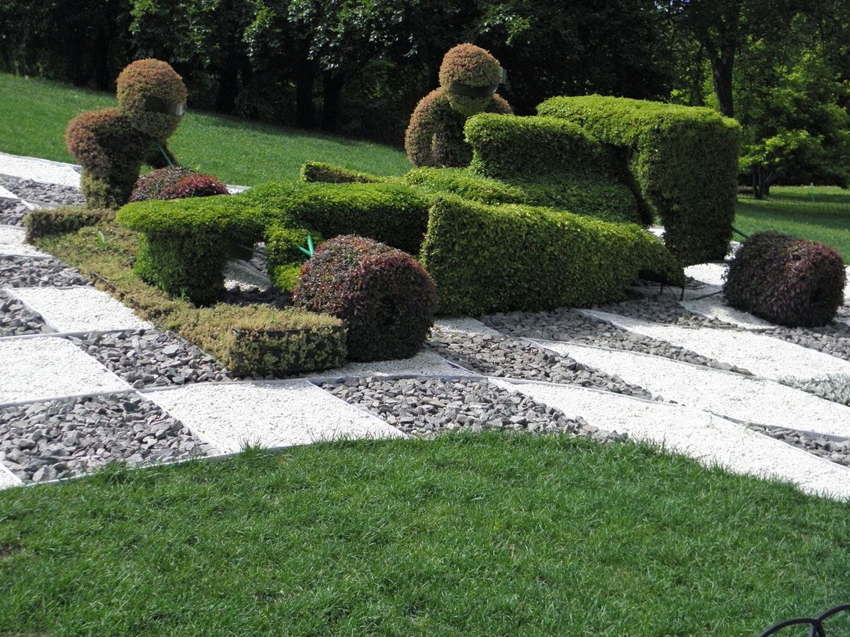 Шины, фары, петуния и бегония: выставка зеленых авто