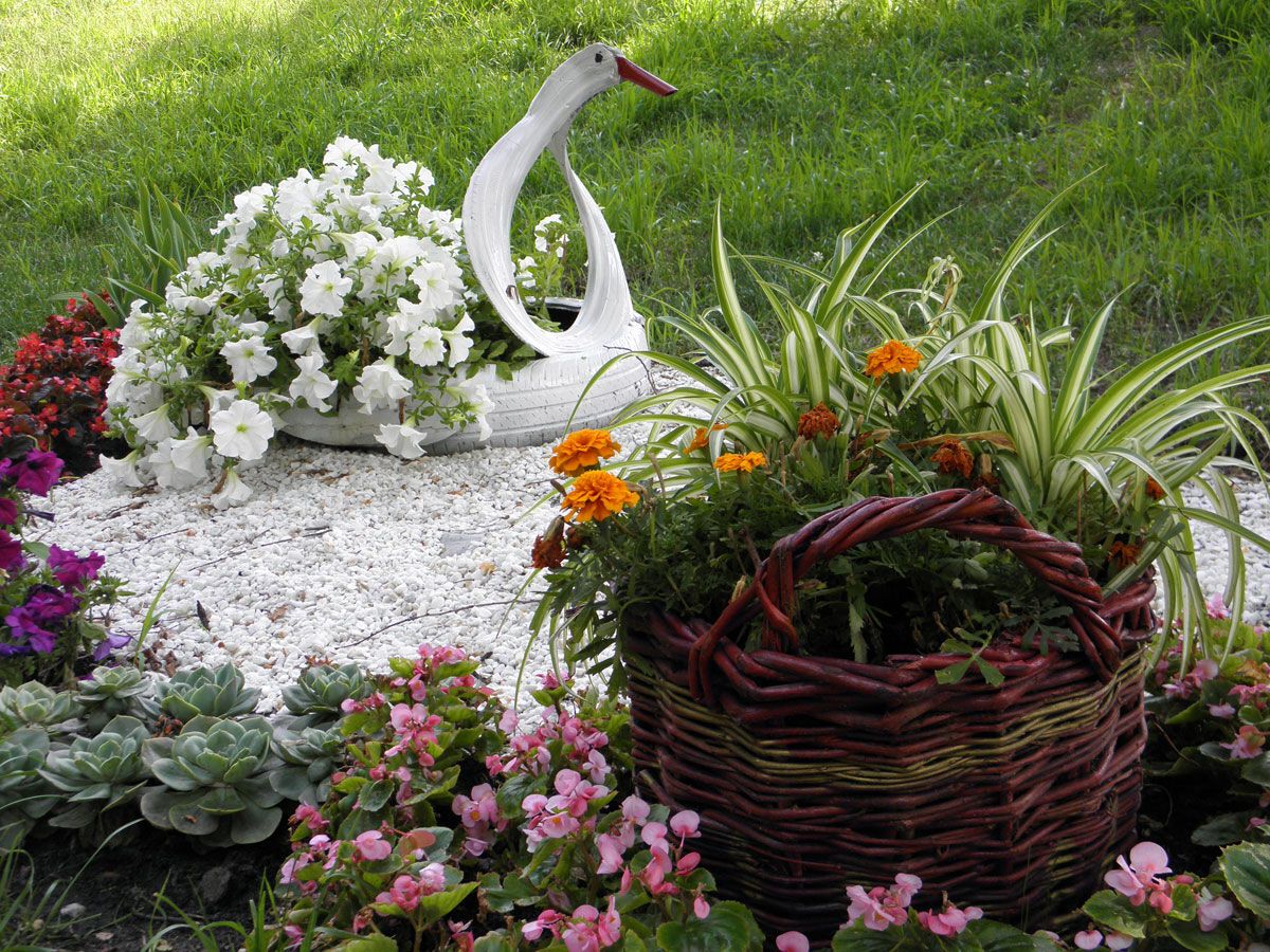 Шины, фары, петуния и бегония: выставка зеленых авто