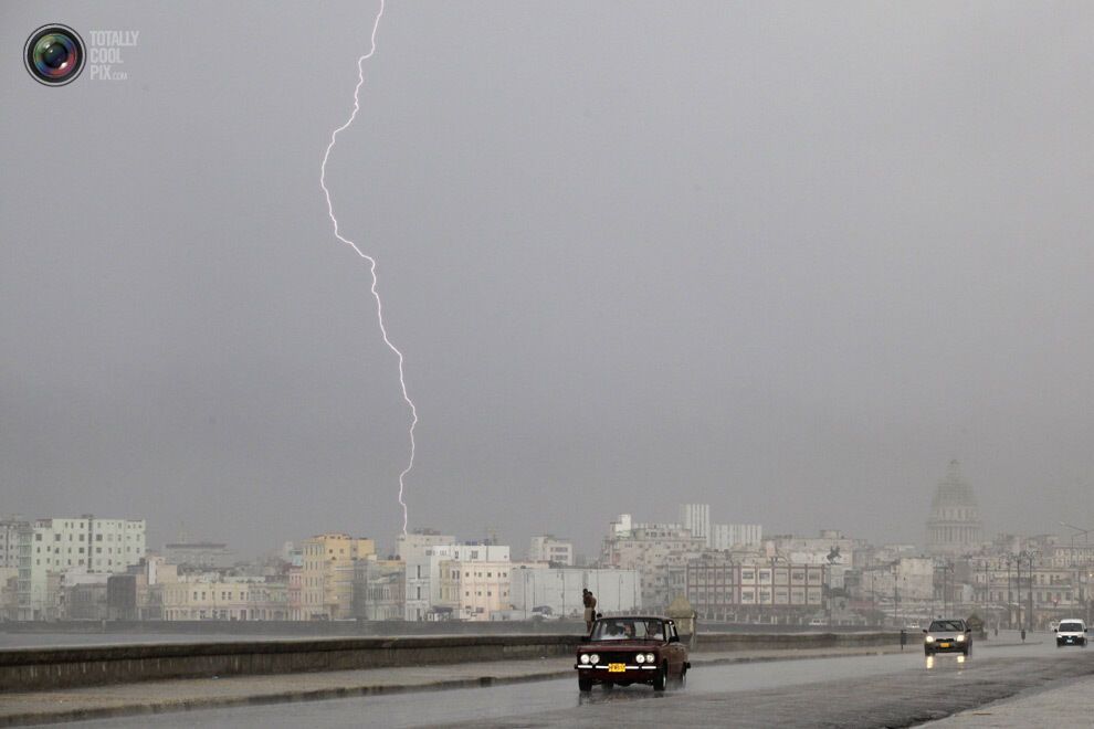 Тиждень у фотографіях - 24.06.2013