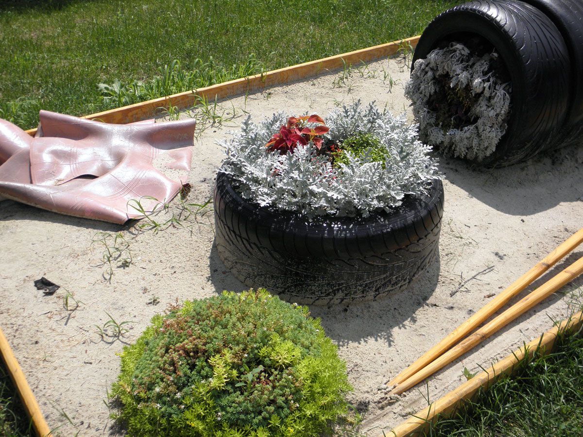 Шины, фары, петуния и бегония: выставка зеленых авто