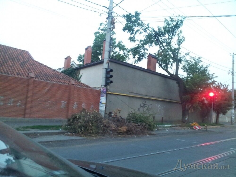 Месяц после урагана в Одессе: кучи деревьев и мусора