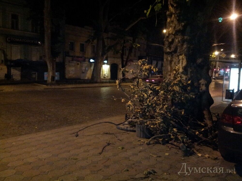 Месяц после урагана в Одессе: кучи деревьев и мусора
