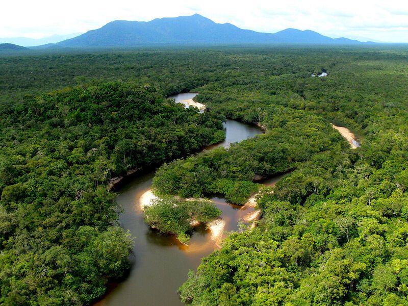 Фотопутешествие по лісах Амазонки