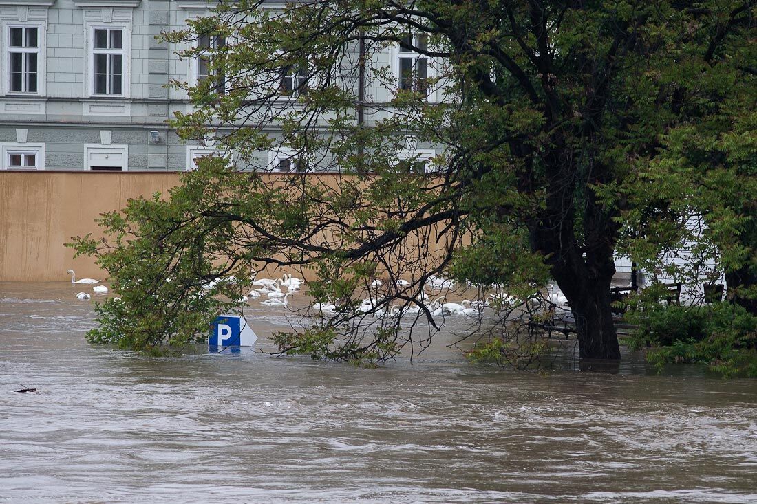 Повінь в Празі