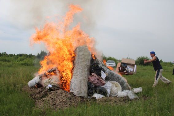 На Житомирщині спалили наркотиків на 2 млн грн