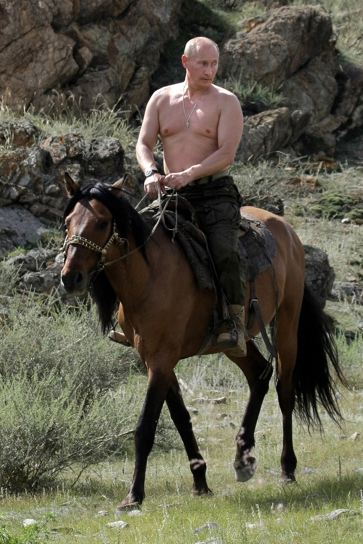 Подборка фото, которые Путин мог бы использовать на сайтах знакомств