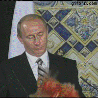Подборка фото, которые Путин мог бы использовать на сайтах знакомств