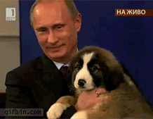 Підбірка фото, які Путін міг би використовувати на сайтах знайомств