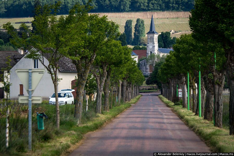 Старовинні підвали Бургундії