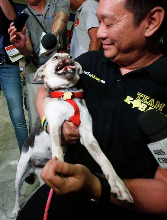Собака, спасшая двух девочек на Филиппинах, вернулась домой
