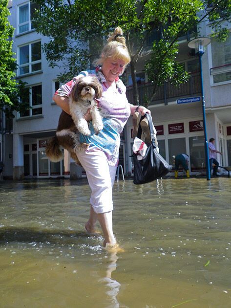 У Європі рятувальники допомагають тваринам при повені