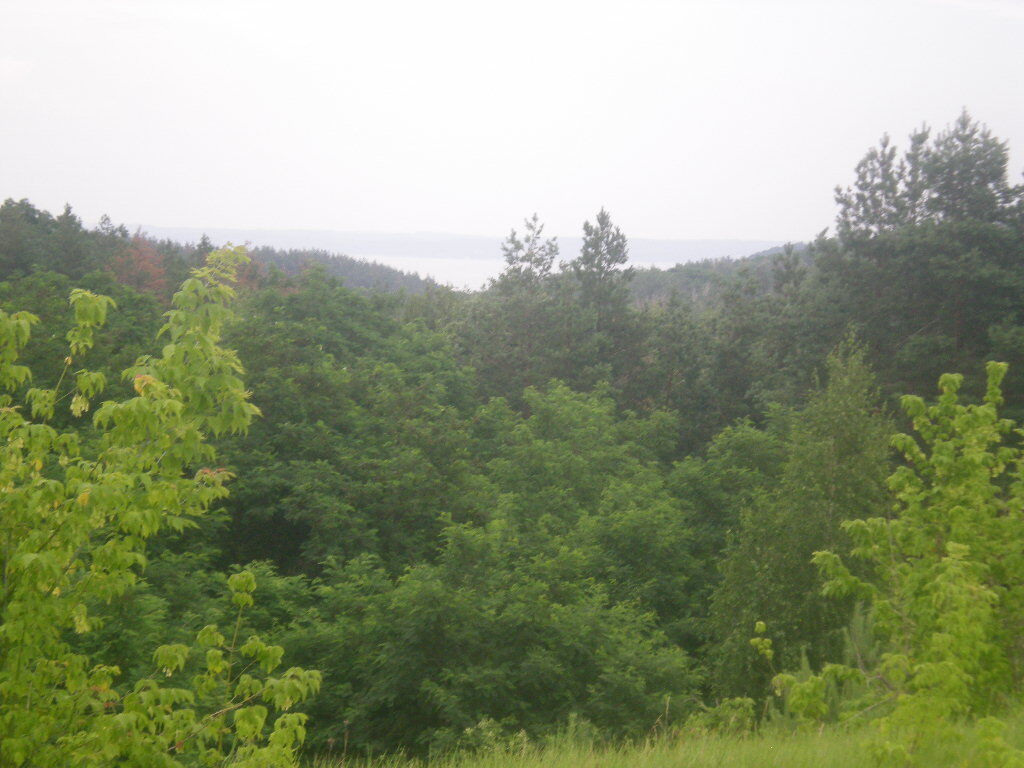 Фестиваль "Трипільське коло-2013" зібрав 7 тис. осіб