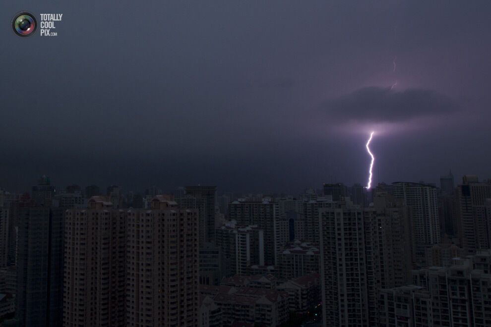 Тиждень у фотографіях. 01.07.13