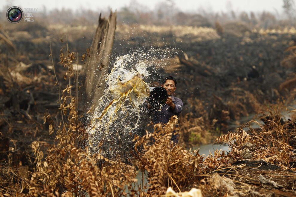 Тиждень у фотографіях. 01.07.13
