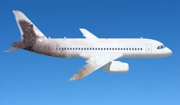 Авиакомпания провела среди туристов конкурс "Раскрась самолет"