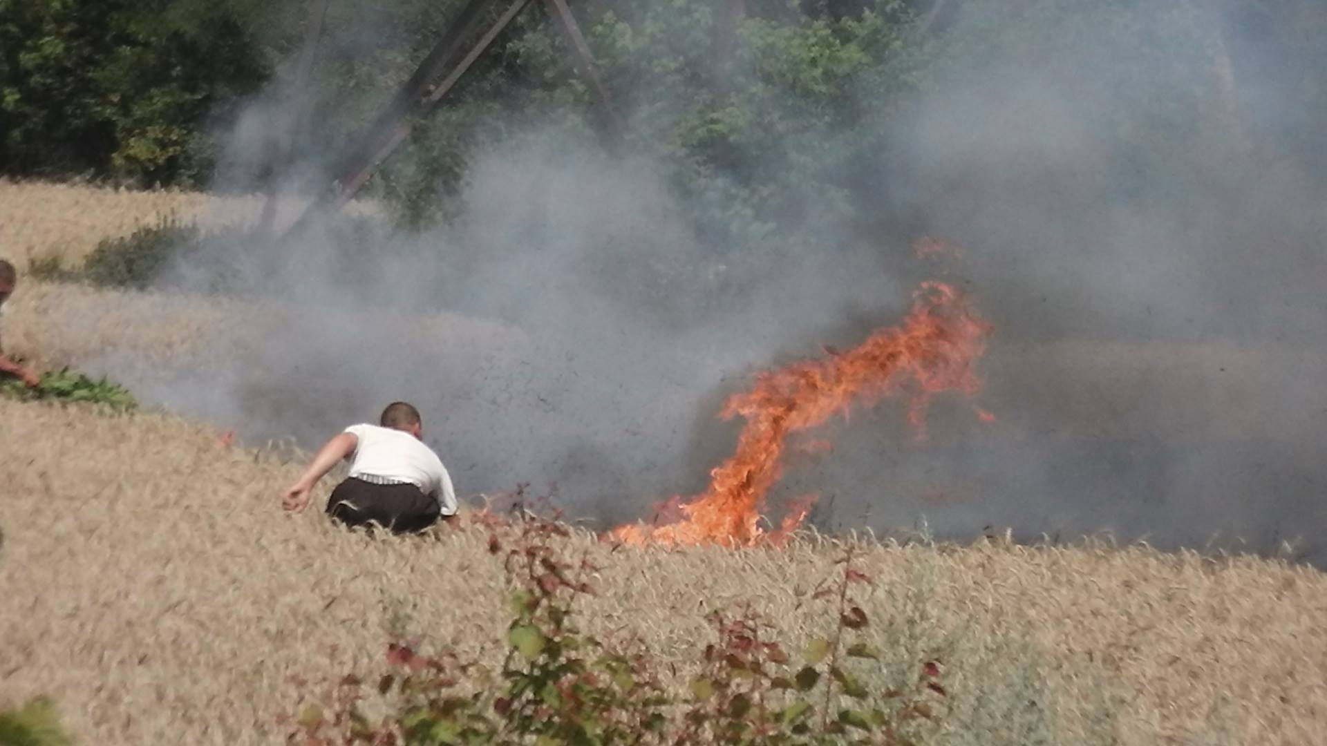 На фірмі Корнацького підпалили поле пшениці