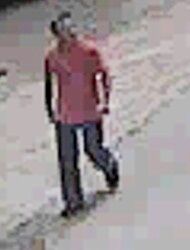 Міліція показала фото пограбував замміністра Криму