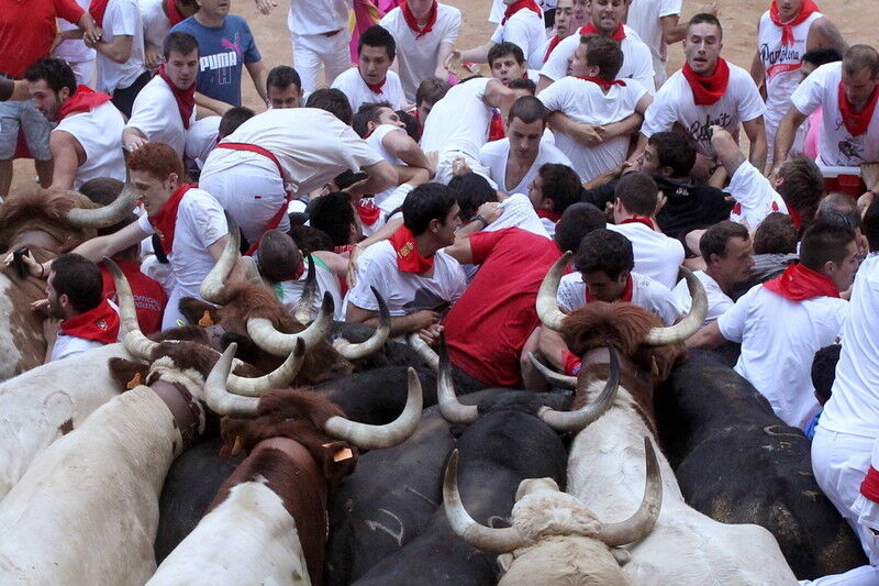 В Іспанії після забігу биків в лікарні потрапили десятки людей